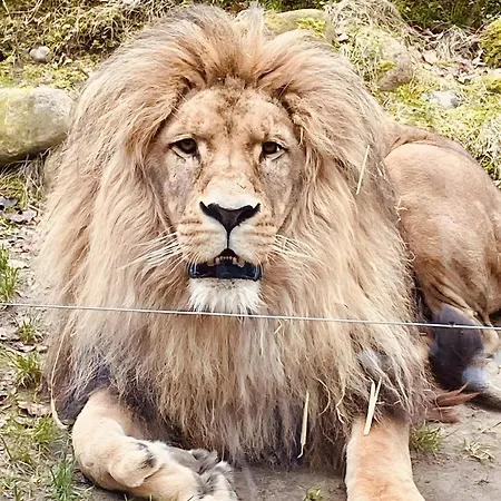 Fewo-romuli Апартаменты Eggesin