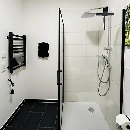 Fewo-romuli 公寓 *