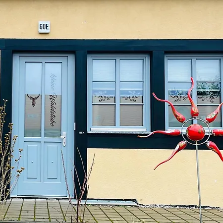 Fewo-romuli 公寓 *